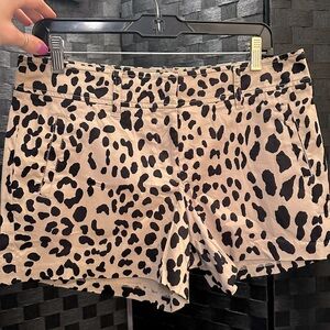 Cache style shorts 
Cheetah print
Never worn 
Size 10